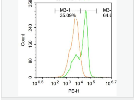 6052c6fa5369f.png image.png