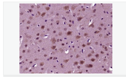 605411ac8065d.png image.png