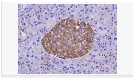 605412e462427.png image.png