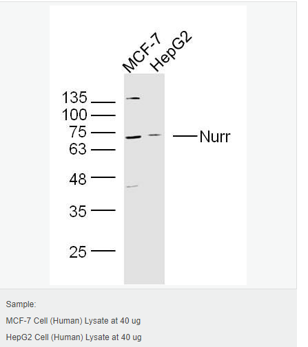 60544edb6769a.png image.png