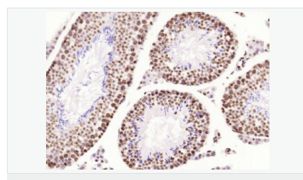 605460da2b92a.png image.png