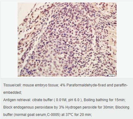 60580338ea828.png image.png