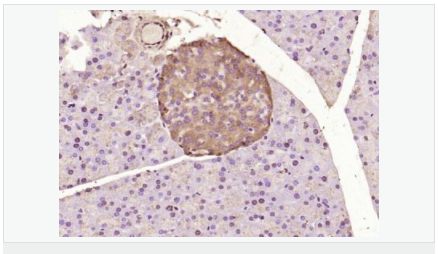 6058359362561.png image.png