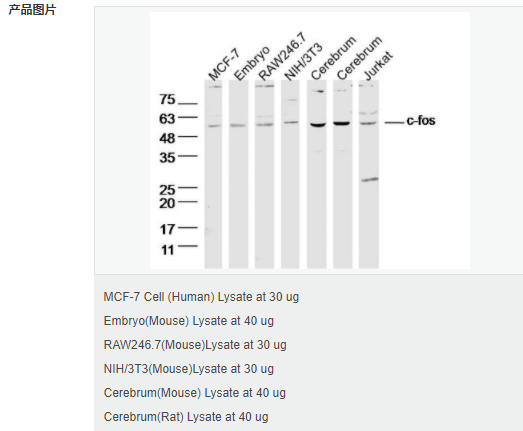 60584c686a296.png image.png