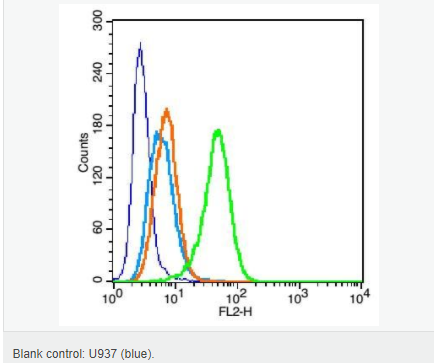 60584cfa4d778.png image.png