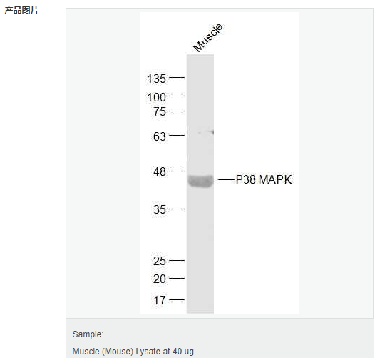 60594a9da6e0c.png image.png