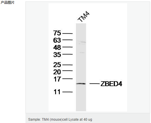 6059505fc8f02.png image.png