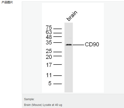 60595dc2b8548.png image.png