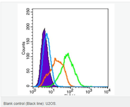 605c3a1e5893e.png image.png