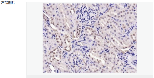 605d9132b7968.png image.png