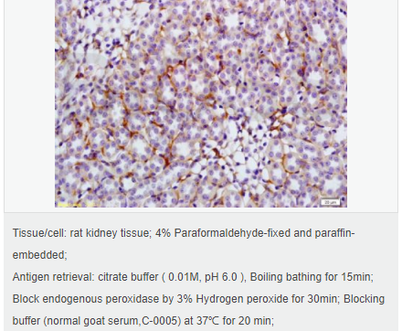 60612cc3884fd.png image.png