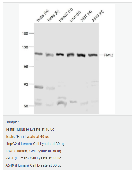 6061996d38106.png image.png