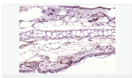 6065321b85f68.png image.png