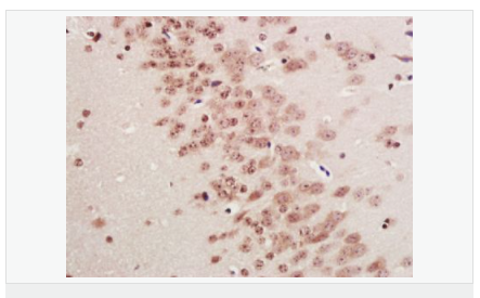 60653228283ab.png image.png