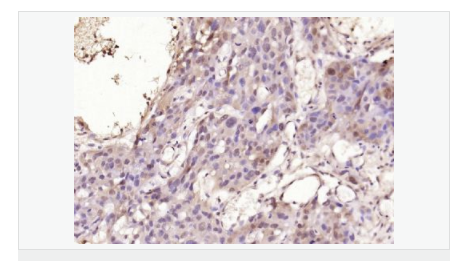 60667940ca31b.png image.png