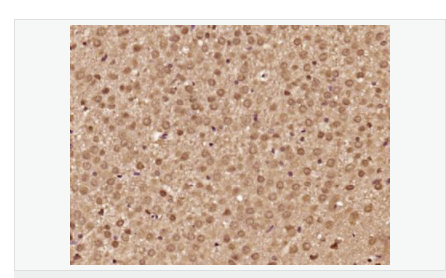 606679783c854.png image.png