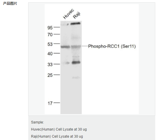 6066ad6bad4a3.png image.png