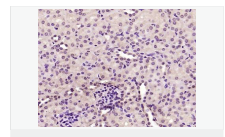 6066c3b1c8bac.png image.png