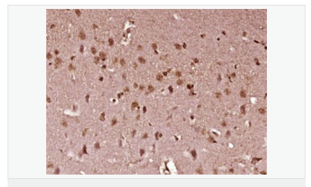 6066c712e9dde.png image.png