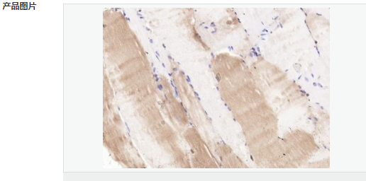 6066cdaa7b233.png image.png