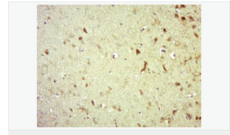 607657828a659.png image.png