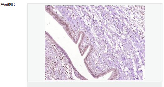 6076588ba98c7.png image.png