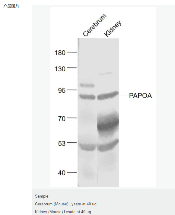 60767ba4f14ae.png image.png