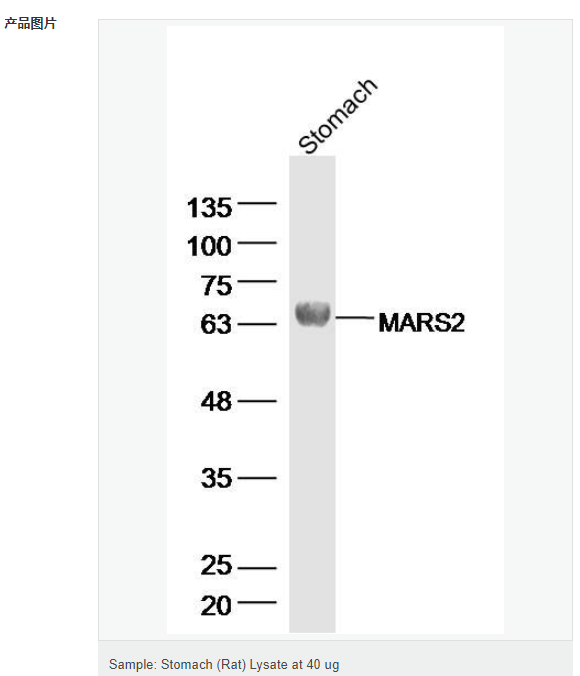 60769b121c4ae.png image.png