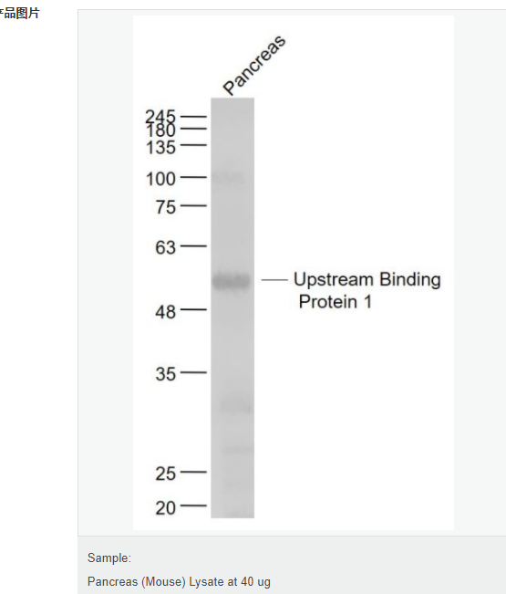 6077e51ccaeb7.png image.png