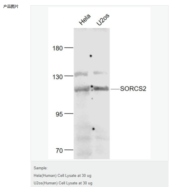 6078e70de6dd6.png image.png