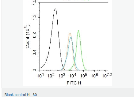 607943e9993b1.png image.png