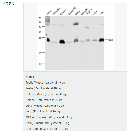 607d2e2078740.png image.png