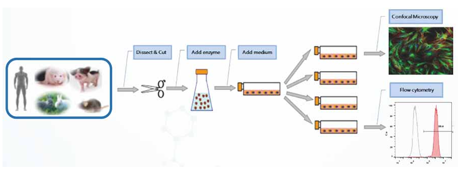 68ea0f5154644.png image.png