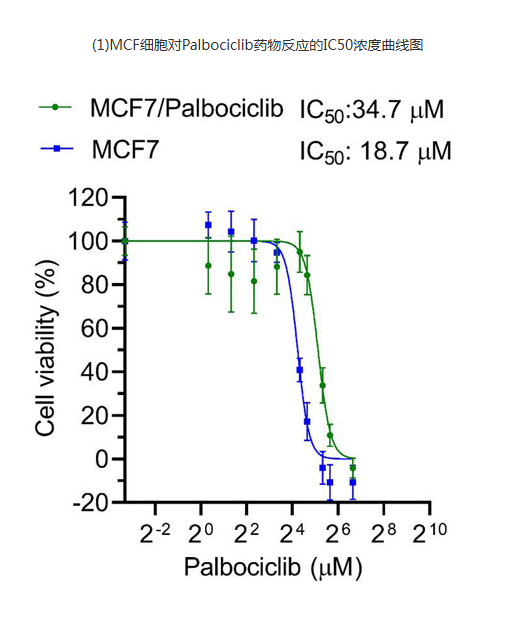 68ea115064a45.png image.png